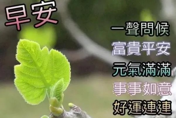 最近刚出的早上好图片:2022最新最全的早上好图片(带祝福语)