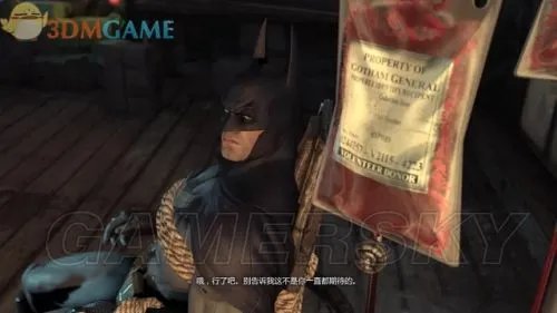 《蝙蝠侠：阿甘之城》全剧情图文攻略