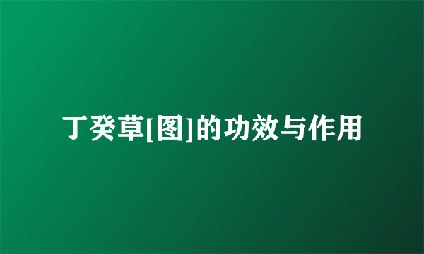 丁癸草[图]的功效与作用