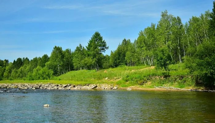 亚马逊河在哪里 亚马逊河在什么地方