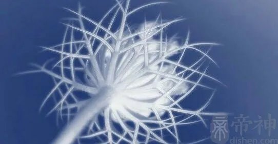 什么叫做通关手,通关手代表什么