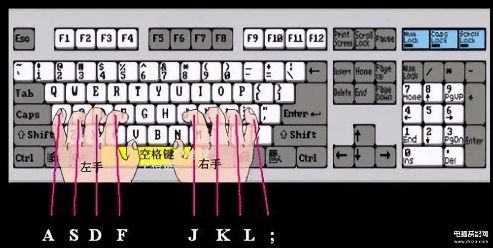 电脑键盘全图详细(电脑键盘各功能示意图)