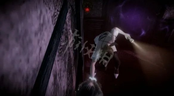 《零月蚀的假面》和濡鸦之巫女哪个好玩?玩法上的区别有哪些