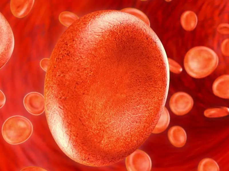 使用血红蛋白电泳时应该注意什么