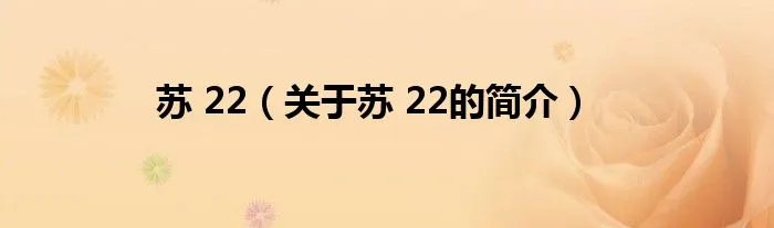 苏 22（关于苏 22的简介）