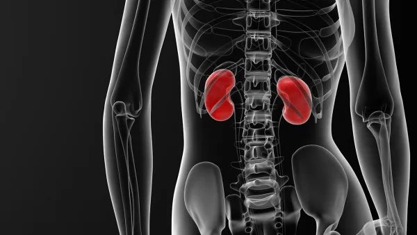 肾上腺疾病包括什么病