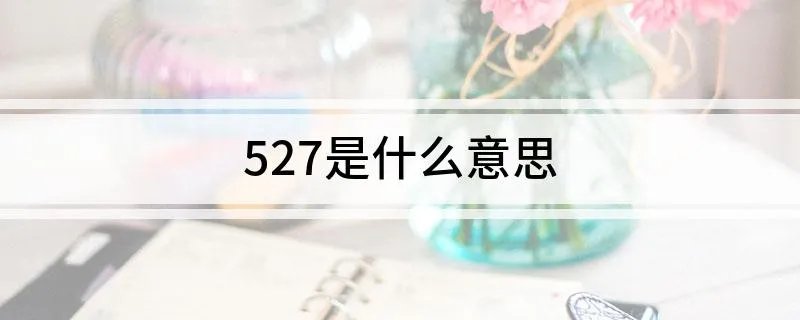 527是什么意思