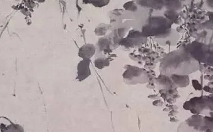徐渭传世的画作之一：《墨葡萄图》赏析