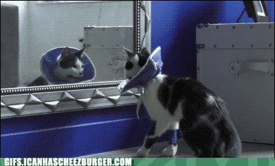 女浴场上演的黄色镜头 停不下来的动态图