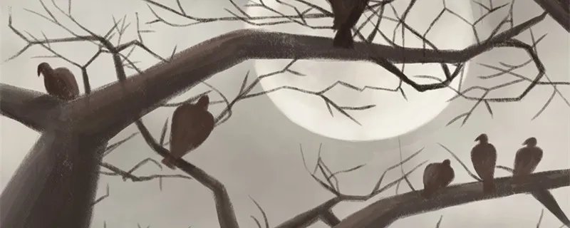 乌鸦为什么像写字台 乌鸦为什么像写字台是什么意思