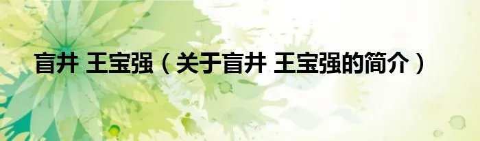 盲井 王宝强（关于盲井 王宝强的简介）