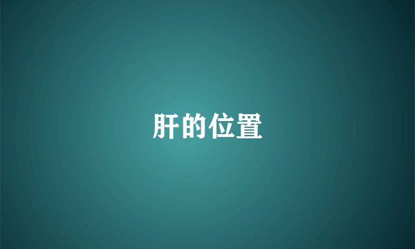 肝的位置