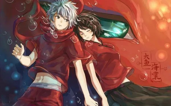 大鱼海棠好看吗？