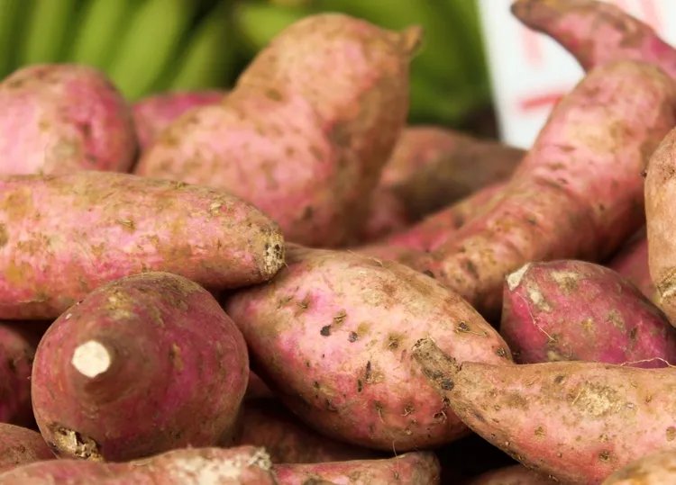 红薯的功效与作用