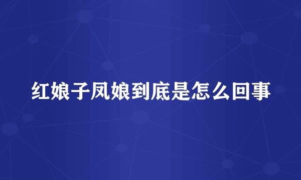 红娘子凤娘到底是怎么回事
