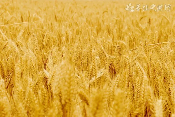 农历七月十四的由来,农历七月十四鬼节的由来