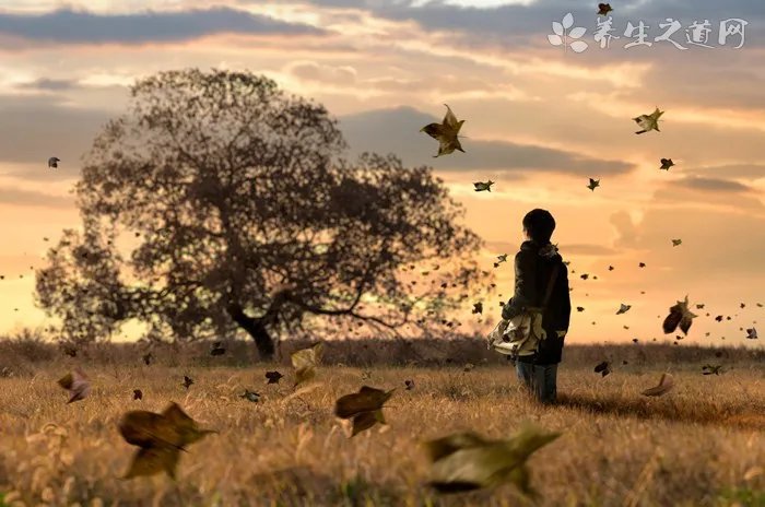 无聊的时候该干什么