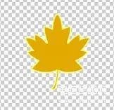 动态图像文件格式有什么（图片文件格式大全）