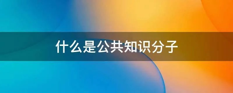 什么是公共知识分子