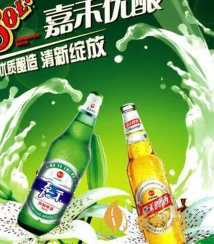 嘉禾啤酒：了解不同种类的价格