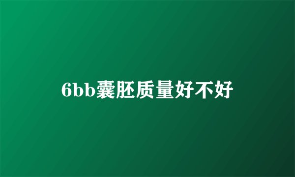 6bb囊胚质量好不好