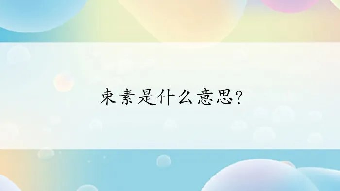 束素是什么意思？