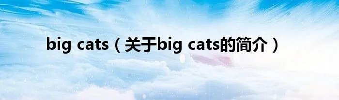 big cats（关于big cats的简介）