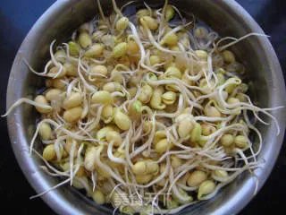 自制黄豆芽