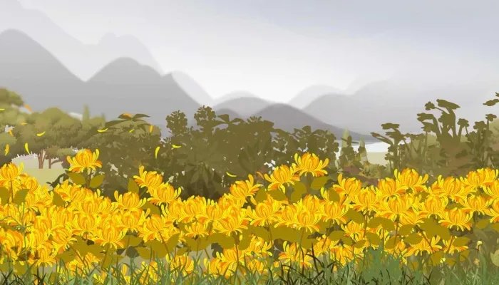 九九重阳今又重阳全诗及翻译