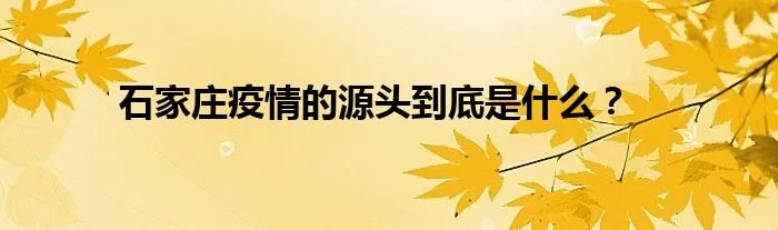 石家庄疫情的源头到底是什么?
