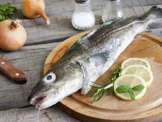 马鲛鱼的营养价值