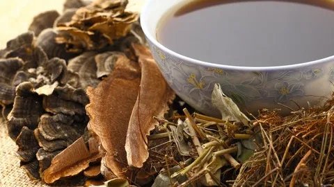 穿山甲的药用价值是什么