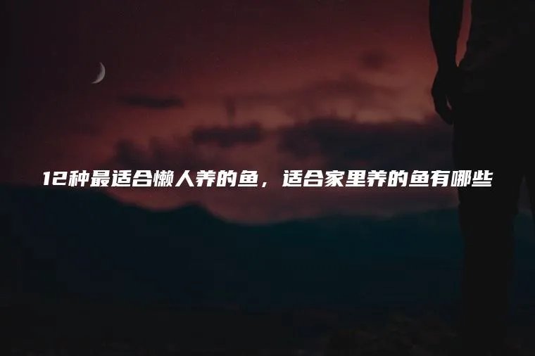 12种最适合懒人养的鱼，适合家里养的鱼有哪些