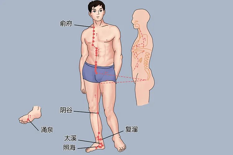 中医按摩经络图