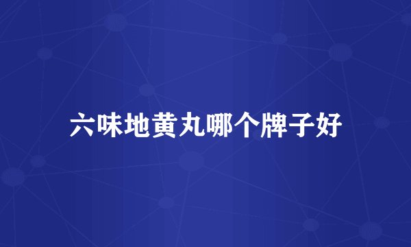 六味地黄丸哪个牌子好