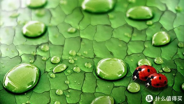 飞利浦电视机怎么样