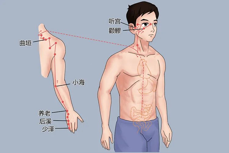 中医按摩经络图