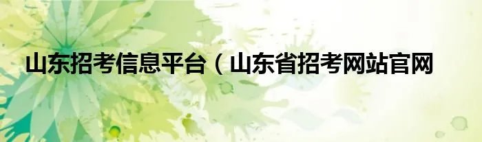山东招考信息平台（山东省招考网站官网