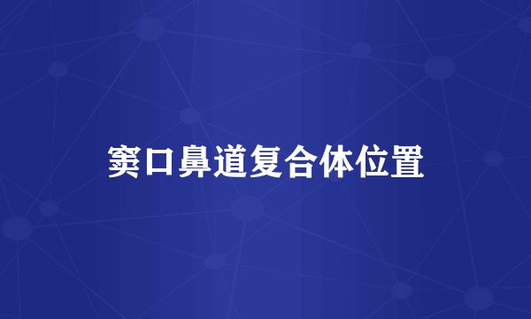 窦口鼻道复合体位置