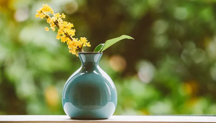 杜康酒是哪里的特产 杜康酒的产地在我国的哪个地方