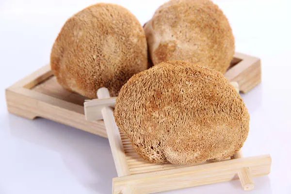 猴头菇的营养价值