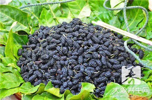 什么人不能吃桑葚