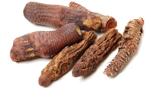 肉苁蓉的功效与作用及食用方法