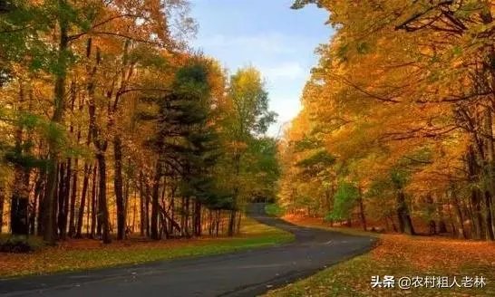 到哪里旅游最好玩?