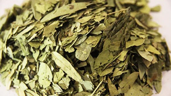 去风湿的中成药