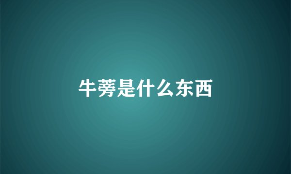 牛蒡是什么东西