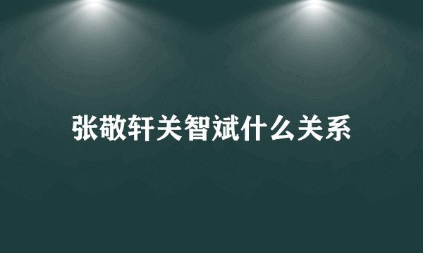 张敬轩关智斌什么关系