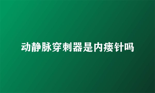 动静脉穿刺器是内瘘针吗