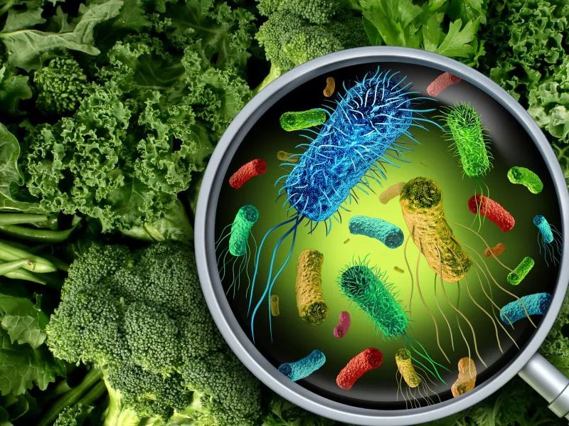 大蒜素注射液的作用与功效