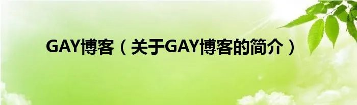 GAY博客（关于GAY博客的简介）
